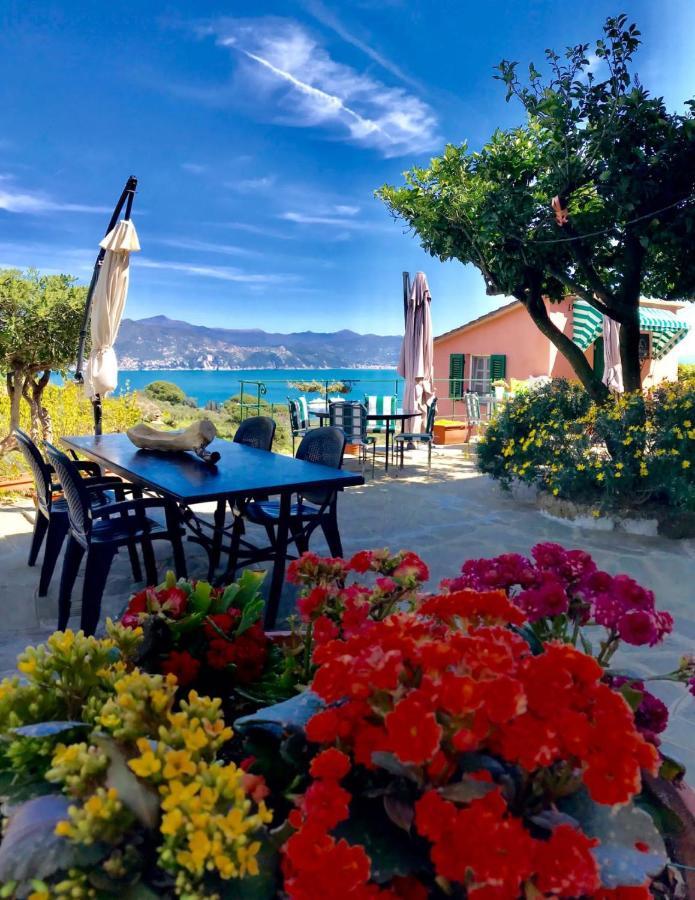 Agriturismo Terre Rosse Portofino Villa Exteriör bild