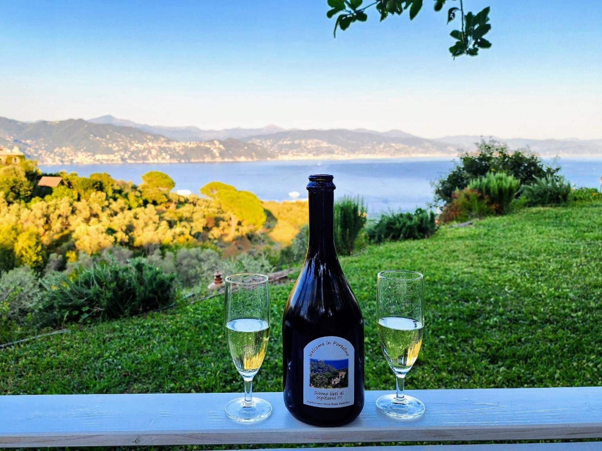 Agriturismo Terre Rosse Portofino Villa Exteriör bild