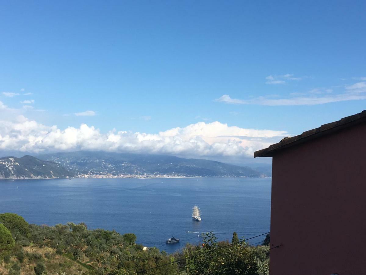 Agriturismo Terre Rosse Portofino Villa Exteriör bild
